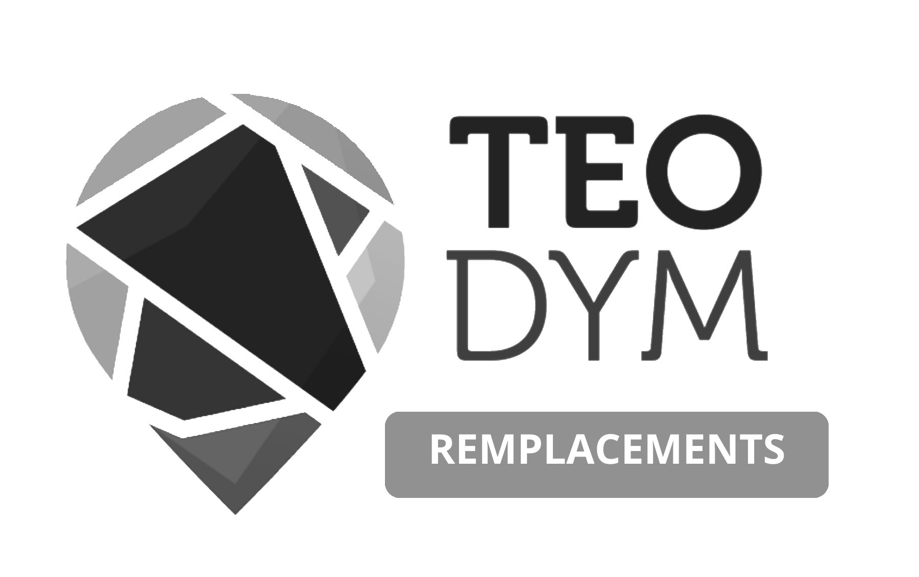 Teodym - Remplacement Hôtelier